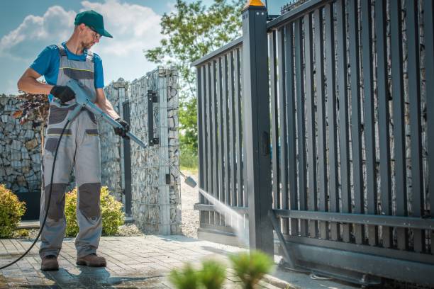 Best Rust Removal  in Rice Lake, MN