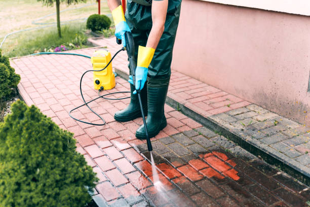 Best Patio and Deck Pressure Washing  in Rice Lake, MN